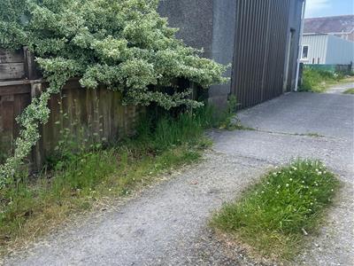 Picture 6